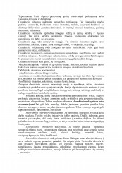 www.speros.lt
